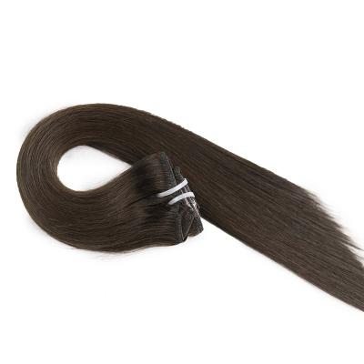 China Remy Brazilian Hair Human Natural Silk Straight Clip In Hair Extensions for sale