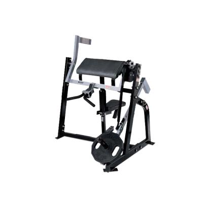 China Commercial Use Fitness Equipment Gym Use Machine Seated Biceps Strength Machine for sale