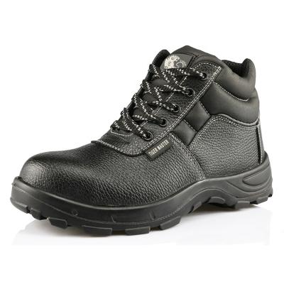 China Brand Steel Cheap China Master Tiger Toe Steel Toe Safety Shoes For Men for sale