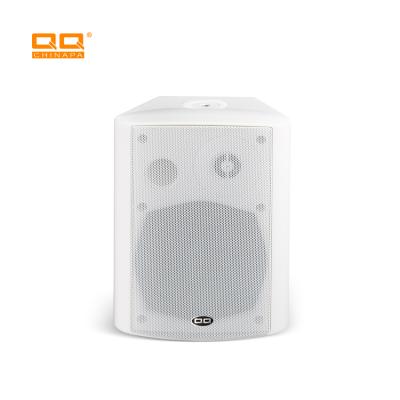 China Play QQCHINAPA APP Video Control Professional Audio Wifi Stereo Sound Wall Wireless Speaker for sale