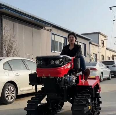 China Op maat gemaakte kleine kruiptractor Landbouwuitrustingtractor 25 pk Te koop