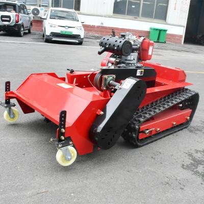 China Landbouwtractor Grasmaaier Flail Maaier Hammer Crawler Grasmaaier 800mm Snijbreedte Te koop