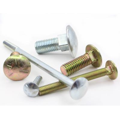 China High Quality Stainless Steel SS304 SS316 Carriage Bolt DIN603 Stainless Steel for sale