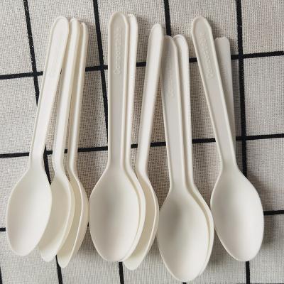 China PLA Disposable 100% Compostable Biodegradable Scoop for sale