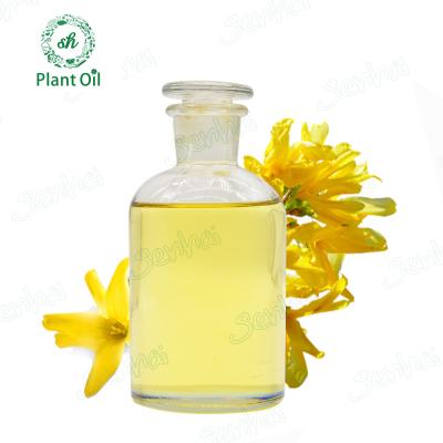 China Organic products pure natural forsythia essential oil queen in essential oil and sunflower oil for sale