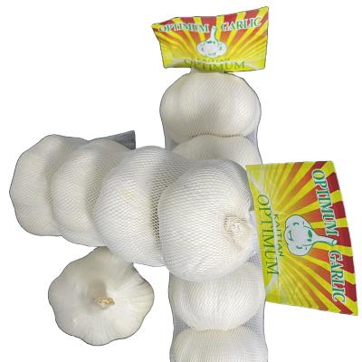 China China Fresh Garlic 2021 Natural Cheapest Fresh White Garlic for sale