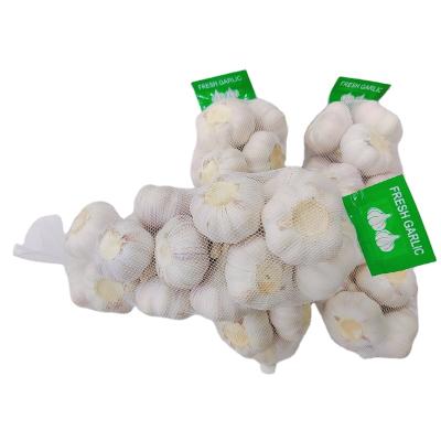 China Chinese 3p fresh pure white garlic fresh lowest price for sale