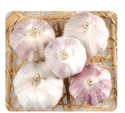 China New Culture Fresh Garlic Mesh Wholesale Bulk Bag For Fresh New Culture White Garlic for sale