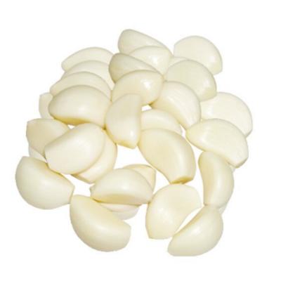 China New FROZEN Culture Peeled Garlic Chinese Frozen Peeled Garlic for sale