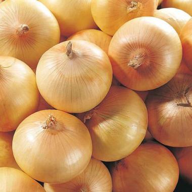 China Lowest Price Chinese Fresh Yellow Onion And Fresh Red Onion Onion Price for sale