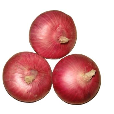 China 2021 new fruit and vegetable company cultivation fresh red onion for sale