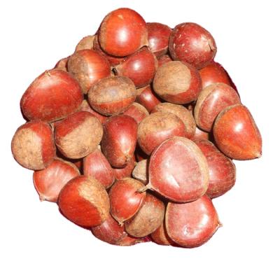 China Newest Fresh Cultivation Chinese Chestnuts For Sale Frozen Chestnut for sale