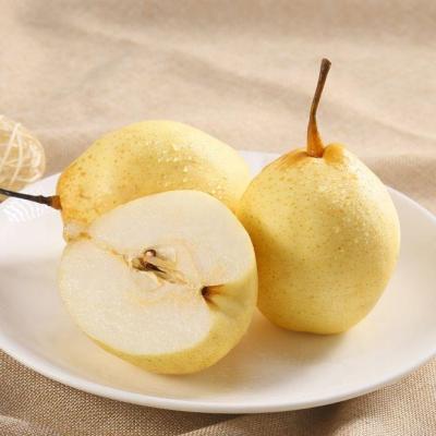 China Fresh New Crop Fresh Pear Ya Pear for sale