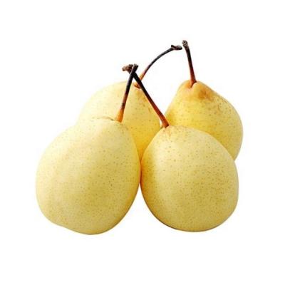 China New Fresh Cultured Pear Ya Pear for sale