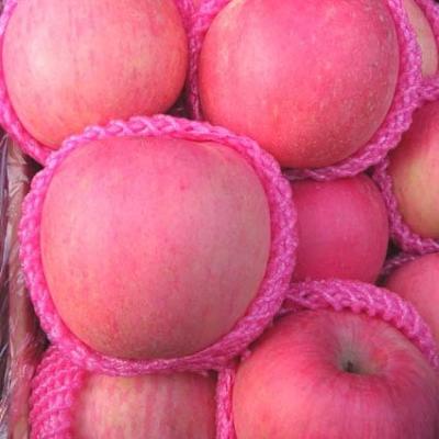 China Fresh New Cultivation Chinese Fuji Apple For China Export Good Quality for sale