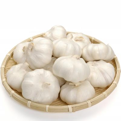 China Big garlic from new cultured good quality chinese organic fresh garlic for sale