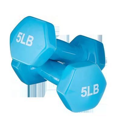 China Plastic Dip in Dumbbell Home Gym Equipment Workouts Strength Training Exercise Fitness High Quality Customized Neoprene Vinyl HexDumbbell for sale