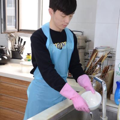 China Disposable Eco-friendly Sleeveless PE/CPE Apron For Household Use And Hair Salon Use for sale