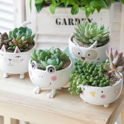 China High Quality Durable Ceramic Succulent Cactus Plant Polyresin Bonsai Pots Set Garden Potted Planting Balcony Balcony for sale