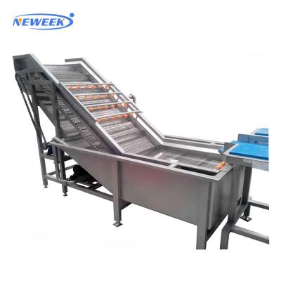 China Fruit Processing Plant NEWEEK 1000kg/h Air Bubble Mushroom Cocoa Seed Blueberry Fish Cleaning Machine for sale