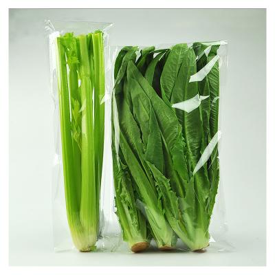 China BIODEGRADABLE Clear Self-adhesive Perforated Anti-fog Lettuce Fresh Fruit Sachets Plastic Bopp Vegetable Packaging Bag for sale