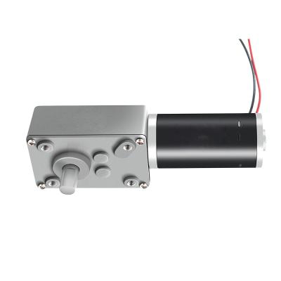 China Faradyi Customized High Torque Micro Electric Motor Drive Bldc Worm Gear Dc Motor for sale