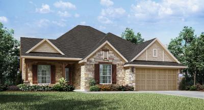 China New Construction New Homes Austin Popular Confortable Living Style for sale