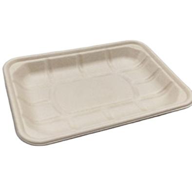 China Disposable Disposable 10%off Customer Tableware 10%off Bagasse Food Container Bagesse Dish Eco-friendly Eco-friendly Disposable for sale