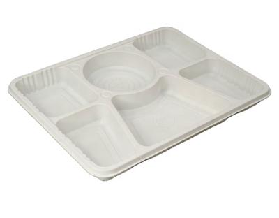 China Microwaveable 6 Compartment Microwave Eco-friendly Students Tray Disposable Plastic Food Container for sale