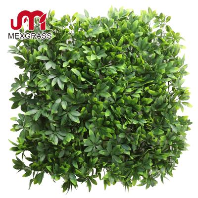 China Durable Artificial Plastic Plants Grass Wall Panel Hedge Backdrop Wall Vertical Hanging Wall Panel Carpet for sale