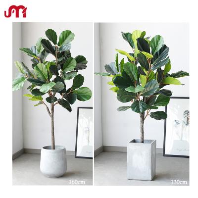 China 51inch 63inch Contemporary Fig Tree Leaf Lush Natural Look Artificial Plant For Living Room for sale