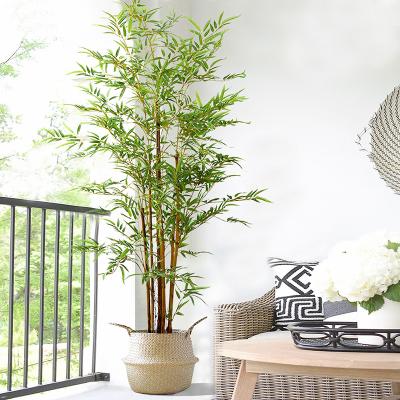 China Contemporary decorative fake 71 inch fake ree bamboo plastic bonsai trees with basket for sale