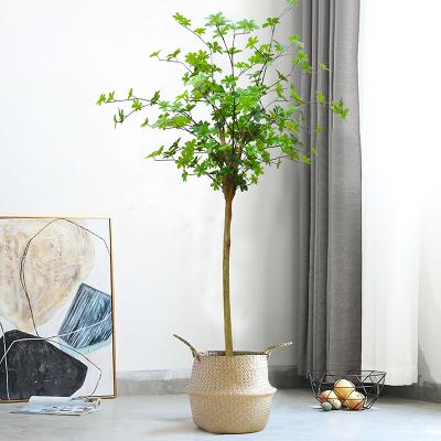 China Contemporary Tall Green 1.5m Without Fake Flower Tree Artificial Fuchsia Plant for sale