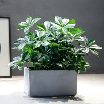 China Best Money Contemporary Potted Tree Plants Topiary Trees With Cement 44x21x23cm Pot for sale