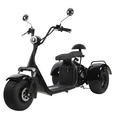 China Lingte X310 Big Wheel Fat Tire Scooter 2 Seats Adults 60V Unisex Electric Motorcycle 1000W 2000W Three Fat Wheels Electric Tricycle for sale