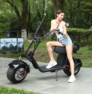 China Lingte X60P City Scooter 60V20A 1000W 1500W 2000W Unisex Powerful Big Wheel Electric Scooter Adult Citycoco Electric Scooter for sale