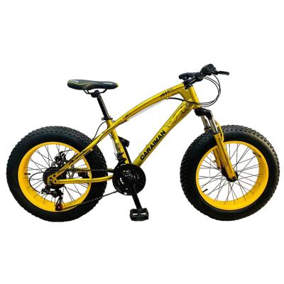 China Wholesale fat bike 24 fat tire snow mountain bike 26 29 shockingproof full tire bike fat frame 21 inch mountain bike steel variable speed mountain bike for sale