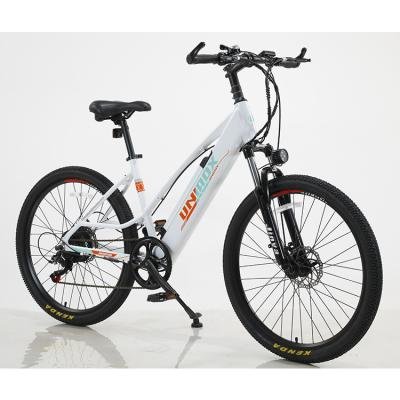 China Aluminum alloy new product lithium battery high speed electric mountain bike for sale