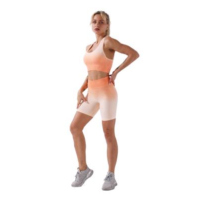 China Other Fitness And Yoga Wear Seamless Ombre Gym Equipment Workout Set For Women for sale