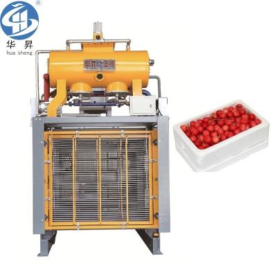 China EPS Foam Box Foaming Machine for Package Size 5500.00cm * 2700.00cm * 3500.00cm and 6000kg for sale