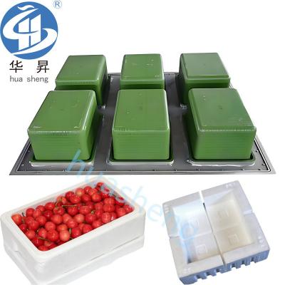 China US EPS Aluminum Mold for Cooler Fish/Fruit/Ice Cream/Bee Box EPS Shape Products Molding for sale