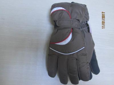 China Ski gloves, Thinsulate ski gloves, Cheap ski gloves, Outdoor and Winter for Mens for sale