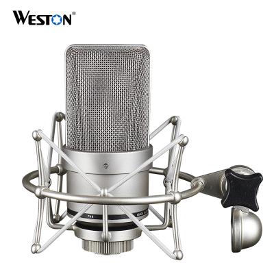 China Shock Mount Weston Best Price Tlm 103 Professional Condenser Microphone Big Xlr for sale