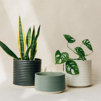 China Flower Pots Wholesale Flower Pots Indoor Simple Minimalist Living Room Small Mini Ornamental Light Green Plants for sale