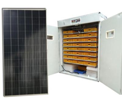 China Multifunctional Electronic Poultry Incubators Hatching Egg Solar Controller for sale