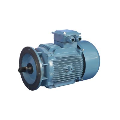 China YE3 Series Electric Motors High Efficiency Motor DC Motor 380v Totally Enclosed Asynchronous Generator for sale