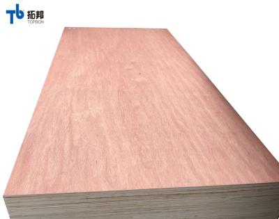 China Modern okoume veneer plywood luan plywood for plywood wardrobe for sale