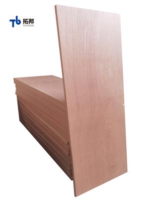 China modern main door design plywood flow door price for sale