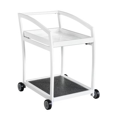 China Modern Cost Effective Professional Kitchen Trolley Commercial Kitchen Trolley Manufacturer Desgin Trolley Cart for sale