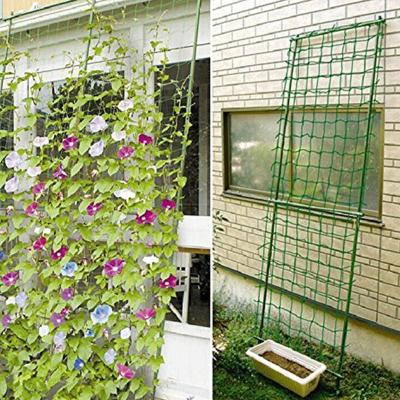 China High Strength Yard Grid Household Trellis Greenhouse Plant Melon Hanging Net For Flowers Passionflower Edible Passion Flower for sale